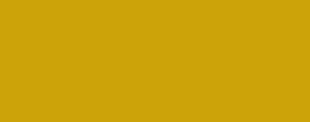 Gold [200]