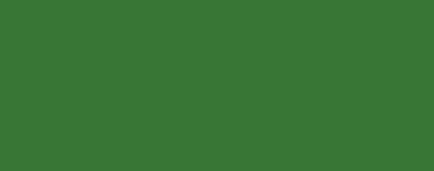 Dark Green Dark Green