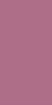 Lilac Lilac