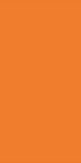 Pastel Orange Pastel Orange
