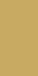 Light Brown Light Brown