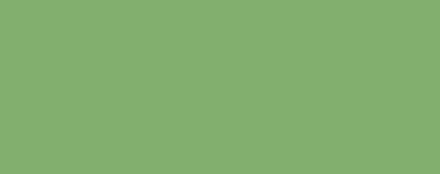 Light Green Light Green