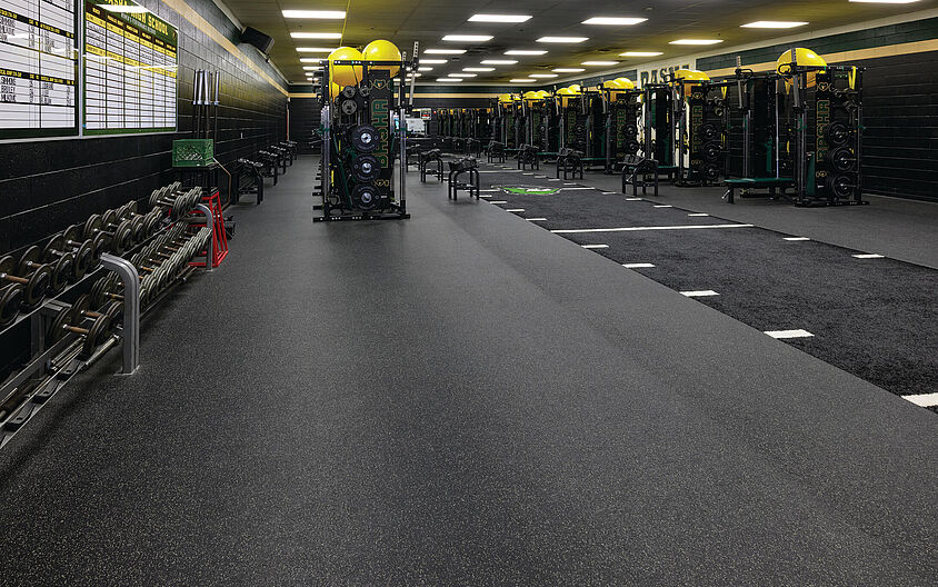 Basha High School Basha High School