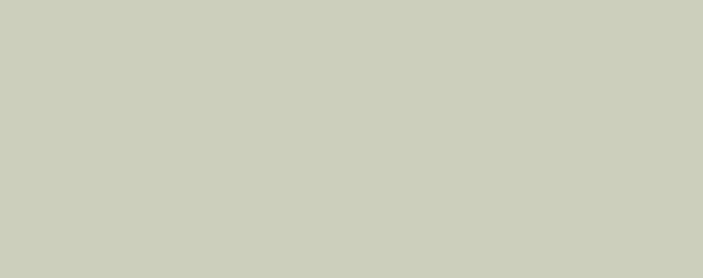 Dolphin Grey [521]