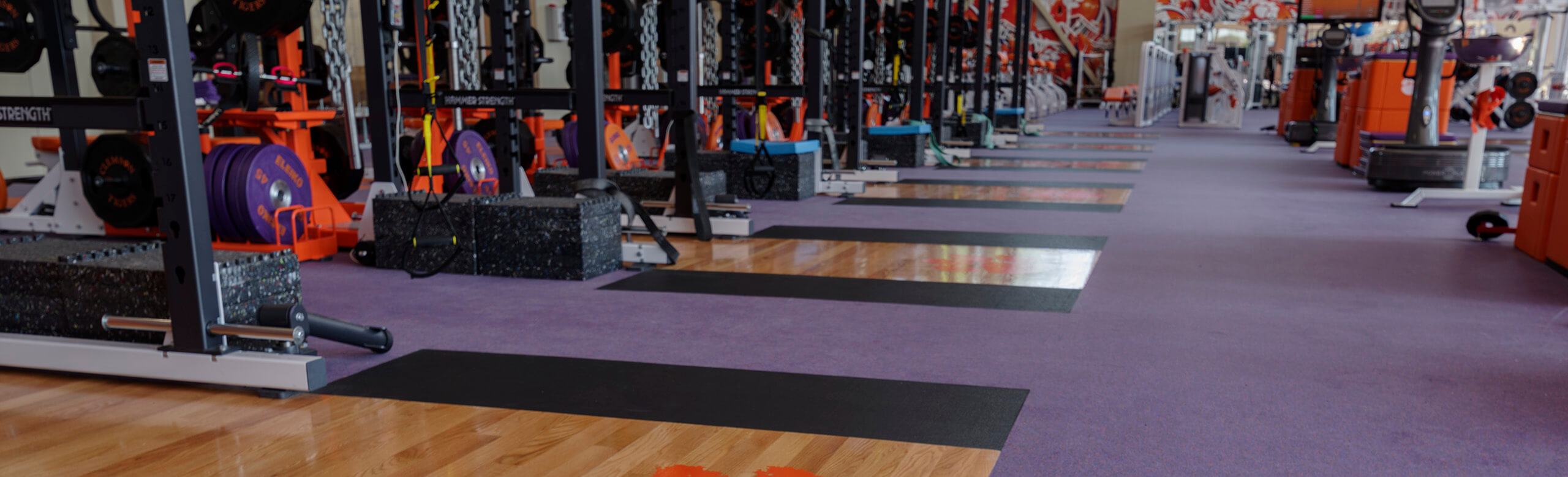 Row of Clemson racks with platforms inlaid into the flooring. REGUPOL aktivpro roll is used throughout the facility.